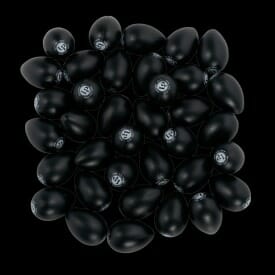 LP Black Egg Shaker