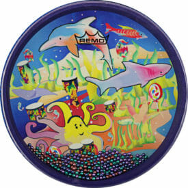 Remo Lynn Kleiner 9" X 1" Ocean Drum