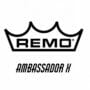 Ambassador X
