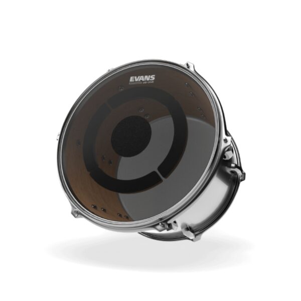 Evans dB One (2)