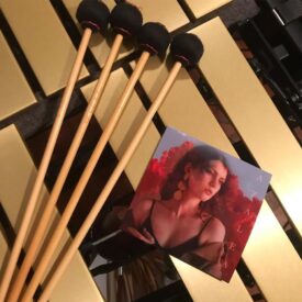 Vater Sasha Berliner Signature Vibraphone Mallets - Image 3