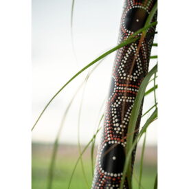 Meinl Sonic Energy Bamboo Rainstick Small - Dot Painted/Black - Image 3