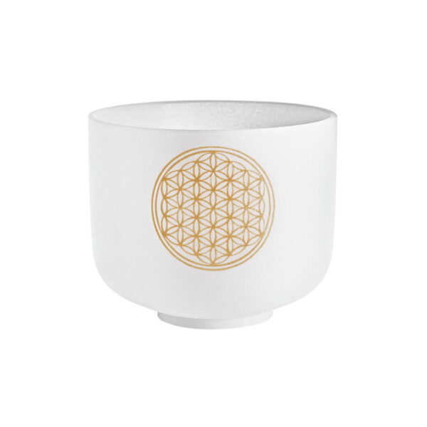 715ec803-bc68-46eb-b773-810f46b0754d