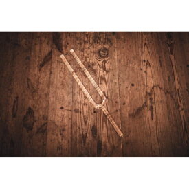 Meinl Sonic Energy Crystal Tuning Fork - F4/349.23 Hz - Image 3